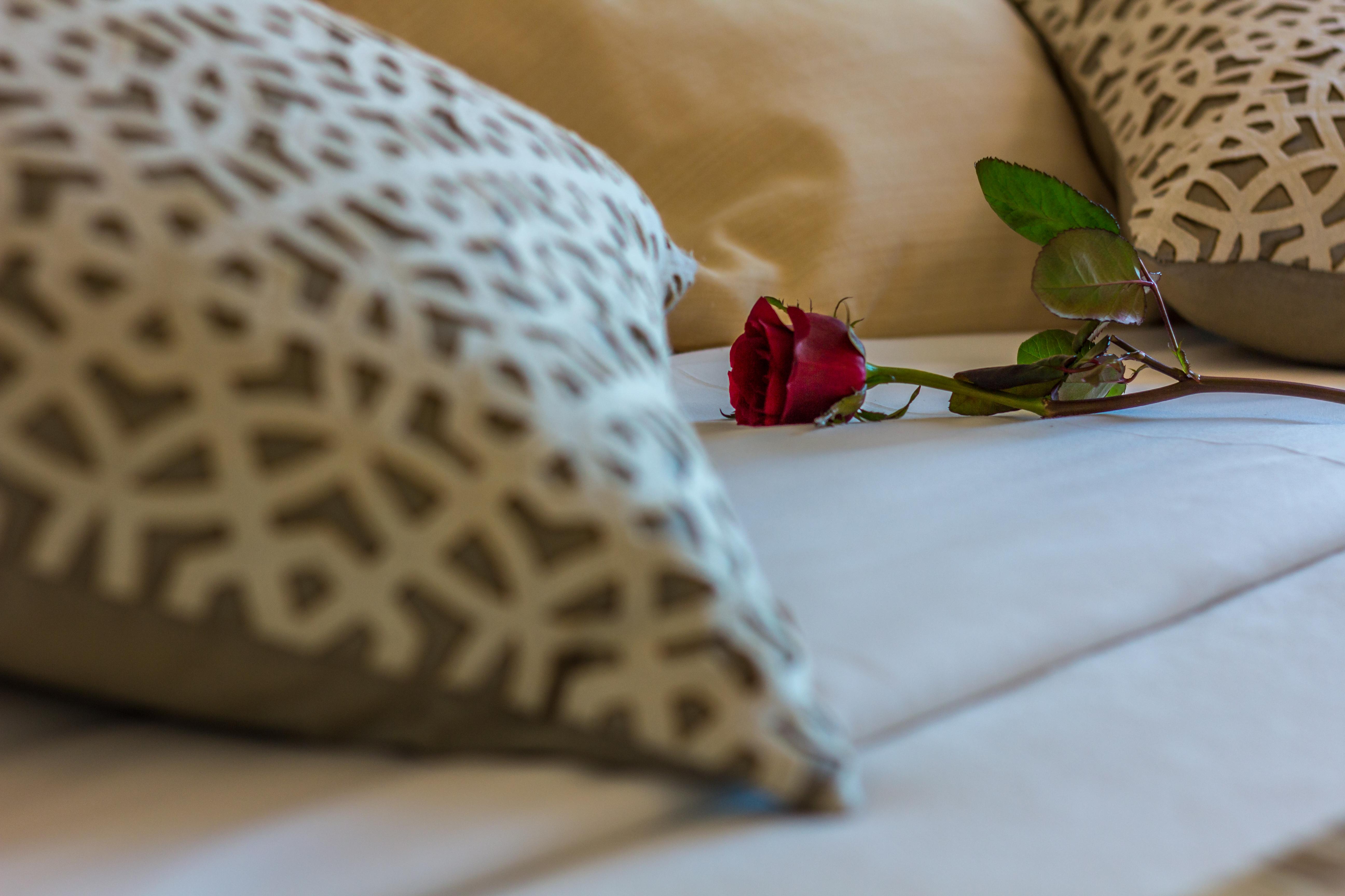 Hotel Sao Sebastiao De Боликайме Екстериор снимка